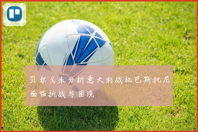贝尔戈米分析意大利战机巴斯托尼面临挑战与困境
